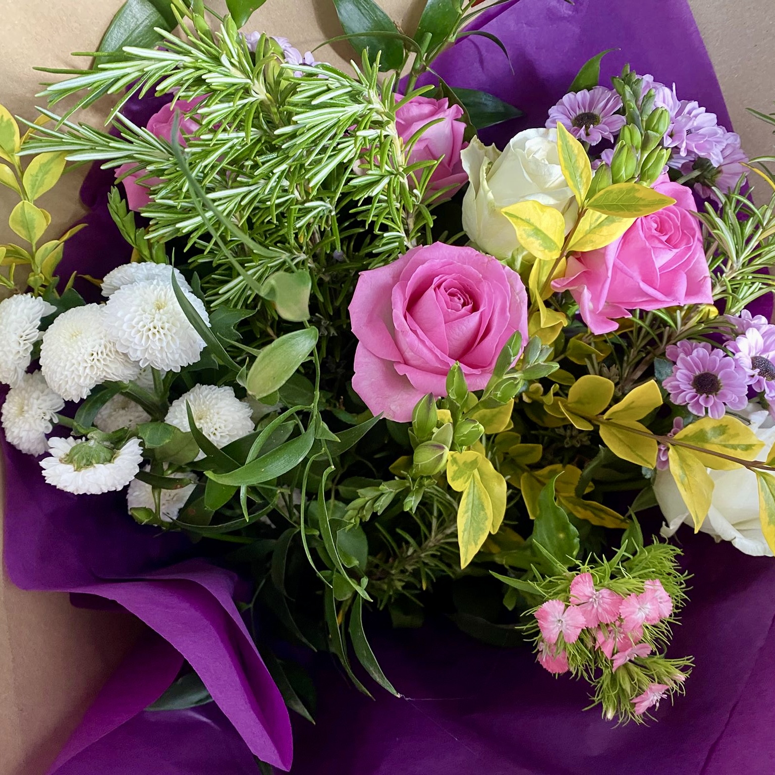 snowdropsandviolets22